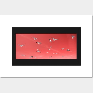 Seagulls in the sky, living coral pantone color 2019 Posters and Art